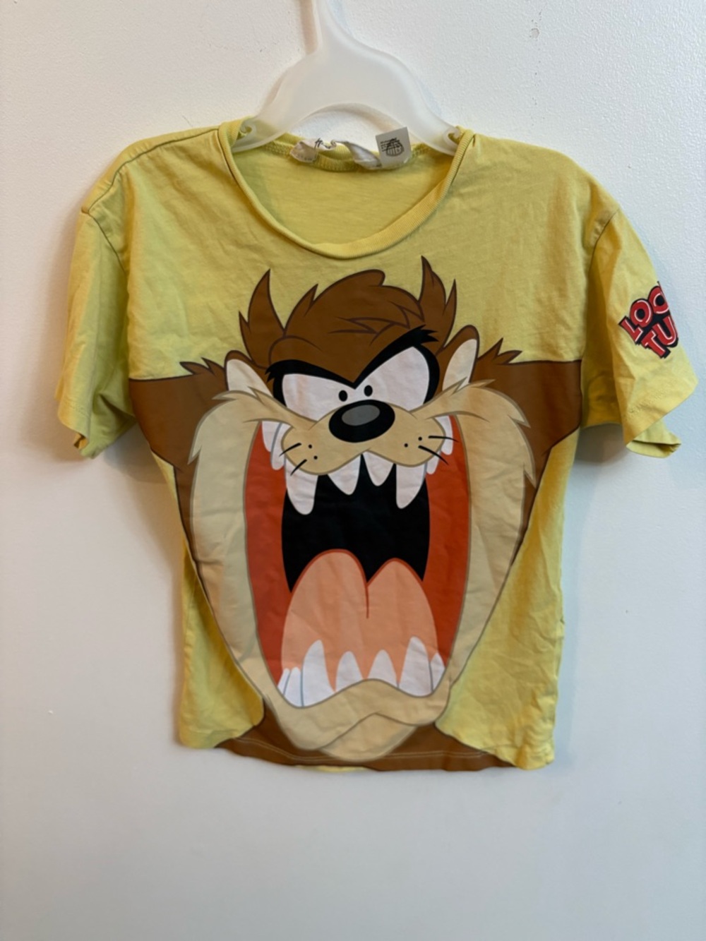 H&M X Looney tunes Taz Short Sleeve Tee 4-6 years